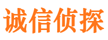 贡井婚外情调查